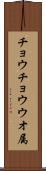 チョウチョウウオ属 Scroll