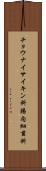 チョウナイサイキン科 Scroll