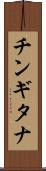 チンギタナ Scroll