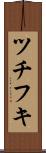 ツチフキ Scroll