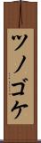 ツノゴケ Scroll