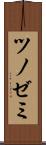 ツノゼミ Scroll