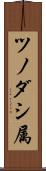 ツノダシ属 Scroll