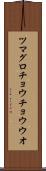 ツマグロチョウチョウウオ Scroll
