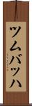 ツムバッハ Scroll