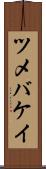 ツメバケイ Scroll
