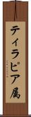 ティラピア属 Scroll