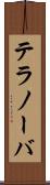 テラノーバ Scroll