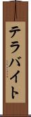 テラバイト Scroll