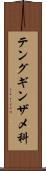 テングギンザメ科 Scroll