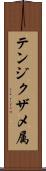 テンジクザメ属 Scroll