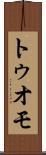 トゥオモ Scroll