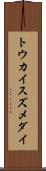 トウカイスズメダイ Scroll