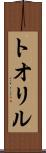 トオリル Scroll