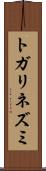トガリネズミ Scroll