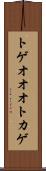 トゲオオオトカゲ Scroll