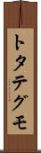 トタテグモ Scroll