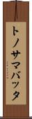 トノサマバッタ Scroll