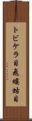 トビケラ目 Scroll