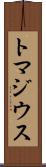 トマジウス Scroll