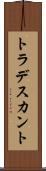 トラデスカント Scroll