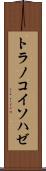 トラノコイソハゼ Scroll