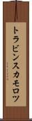 トラビンスカモロツ Scroll