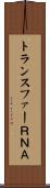 トランスファーＲＮＡ Scroll