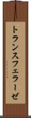 トランスフェラーゼ Scroll
