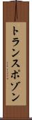 トランスポゾン Scroll
