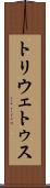 トリウェトゥス Scroll