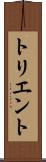 トリエント Scroll