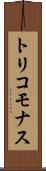 トリコモナス Scroll