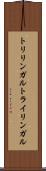 トリリンガル Scroll