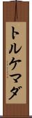 トルケマダ Scroll