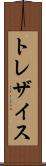 トレザイス Scroll