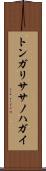 トンガリササノハガイ Scroll