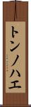 トンノハエ Scroll