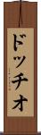 ドッチオ Scroll