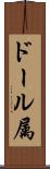 ドール属 Scroll