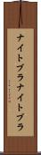 ナイトブラ Scroll