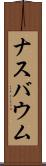 ナスバウム Scroll