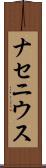ナセニウス Scroll