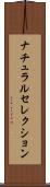 ナチュラルセレクション Scroll
