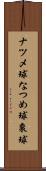 ナツメ球 Scroll