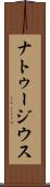 ナトゥージウス Scroll
