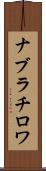 ナブラチロワ Scroll