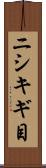 ニシキギ目 Scroll