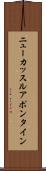 ニューカッスルアポンタイン Scroll