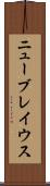 ニューブレイウス Scroll